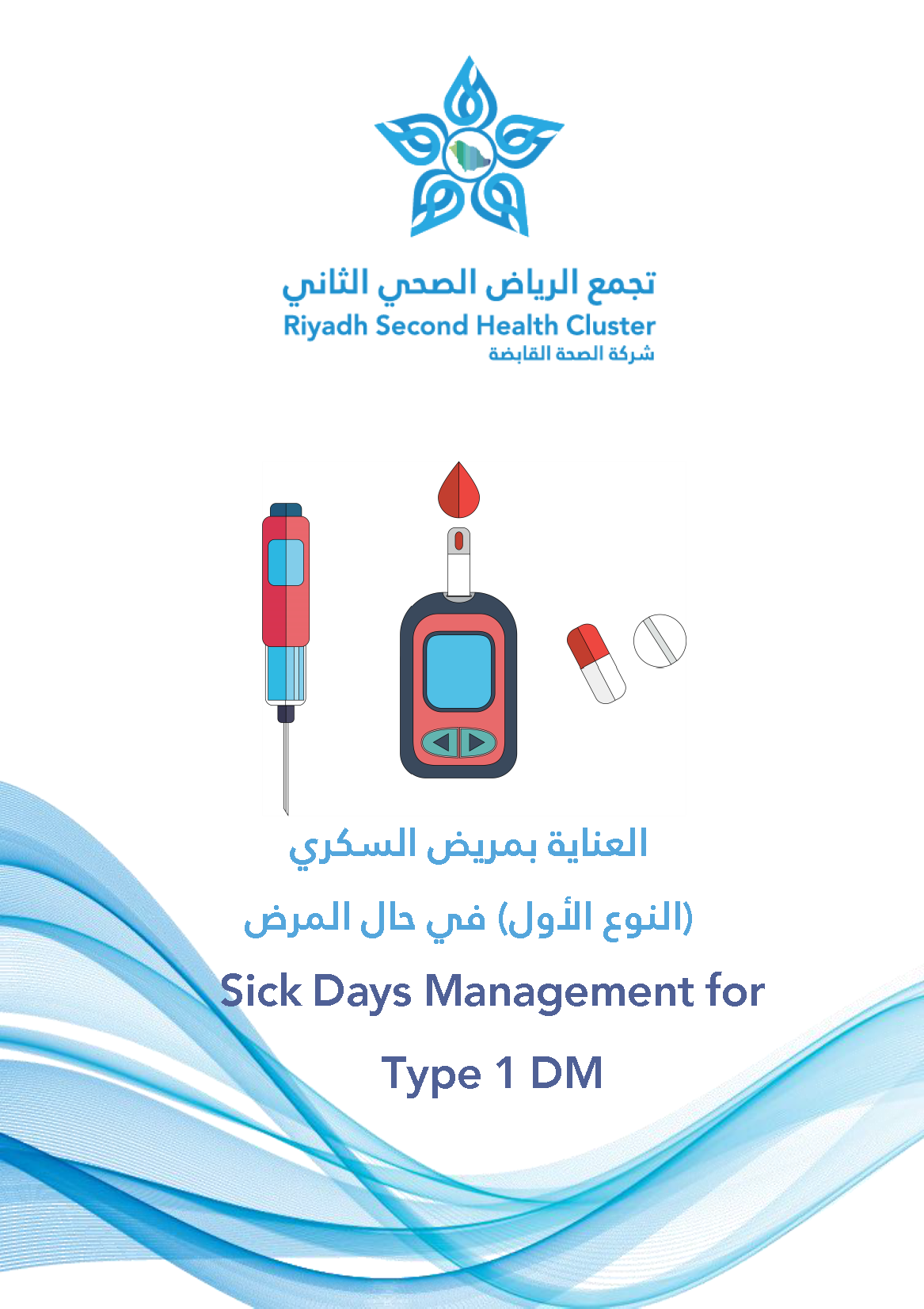 HEM2.16.000212 Sick Days Management for Type 1 DM AR.pdf